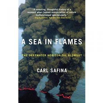 A Sea in Flames: The Deepwater Horizon Oil Blowout