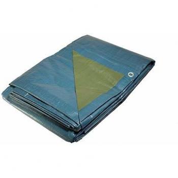 Cubierta de Jardín 5x8 m Polietileno 150g/m² Azul y Verde