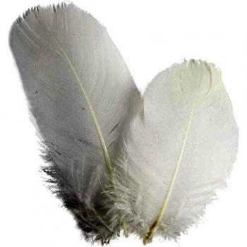 Plumas de Ganso Redondas, Blancas, 3 g, 1 Paquete