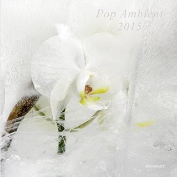 Pop ambient 2015 vinilo