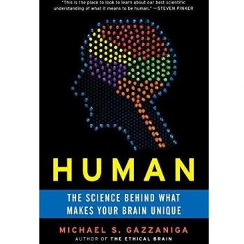 Human: The Science Behind What Makes Your Brain Unique