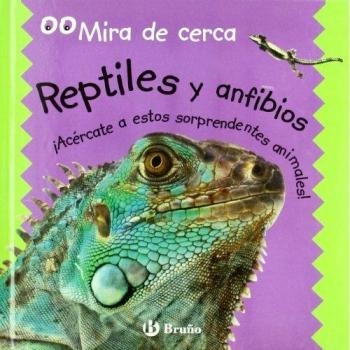 Reptiles y anfibios - mira de cerca