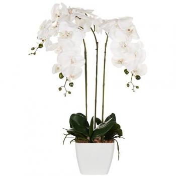 Planta Artificial en Maceta Oncidium de 59 cm - Decoración Interior Boho en Plástico