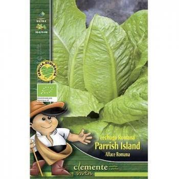 Semillas ecológicas de Lechuga Romana Parrish Island