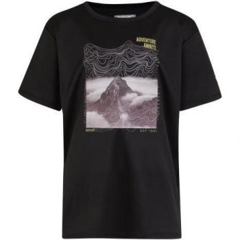 Camiseta Alvardo VIII Montaña para Niños/Niñas de Regatta, 100% poliéster, diseño ligero y transpirable, tecnología de secado rápido, ideal para actividades al aire libre, disponible en varias tallas