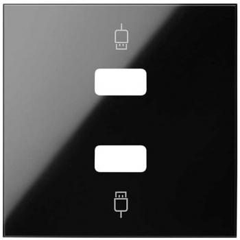 Tapa para 2 conectores USB 2M - SIMON 100