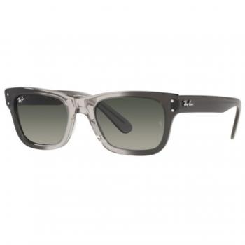 Ray-Ban Mr Burbank RB2283 Transparent Grey/Gradient Grey Sunglasses