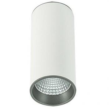 Lámpara de techo LED técnica y moderna Moldes Big 3000K Blanco y Gris 820lm