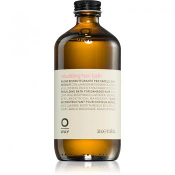OWAY Rebuilding Body Wash and Shower Gel for Men - Restorative Hair Bath 240 ml