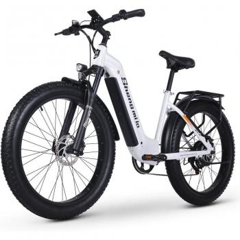 Bicicleta Eléctrica de Montaña para Adultos, Motor Sin Escobillas de 1000 W, Batería Samsung de 48 V y 17,5 Ah, Neumáticos Anchos con Shimano de