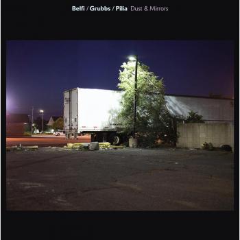 Dust & Mirrors - Vinyl Cleaning Cloth