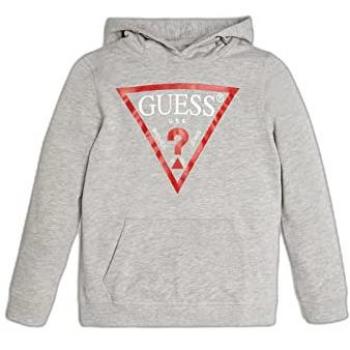 Guess Kids Triangle Logo Regular Fit Hoodie Sweatshirt in Gray