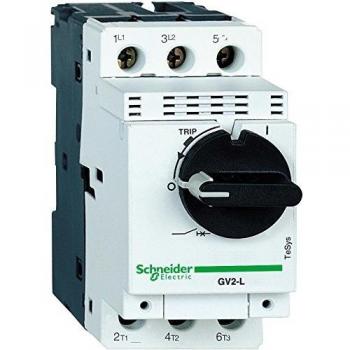 Schneider Electric GV2L14 TeSys GV2 Disyuntor Magnético, 10 A, Conexión por Tornillo