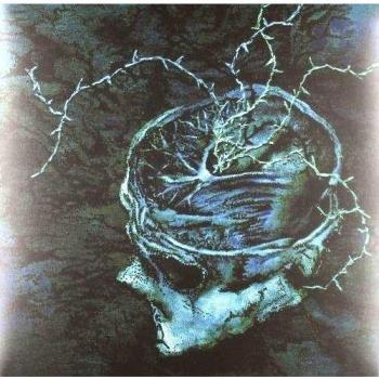 Instinct Decay Vinyl Record