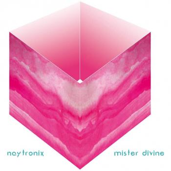 MISTER DIVINE