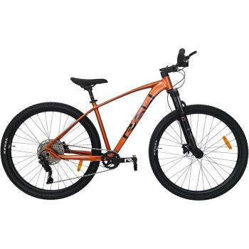Bicicleta de montaña R-PRO 2.0 29''