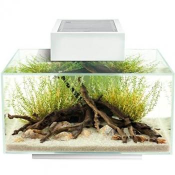 Acuario Fluval Edge 2.0 Blanco/Negro 23L o 46L con LED incluido