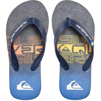 Chanclas Quiksilver Molokai Art