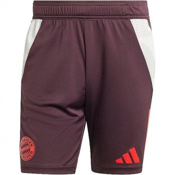 Adidas FC Bayern Munich Training Shorts - Maroon - XL