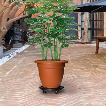 Black Plant Trolley with Wheels - 5 pcs, 30 cm Diameter, 170 kg Capacity