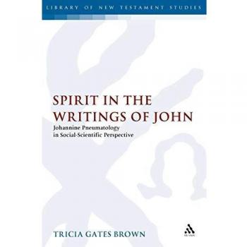 Spirit in the Writings of John: Johannine Pneumatology in Social-Scientific Perspective: v. 253