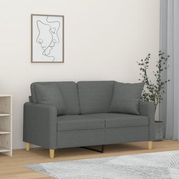 Sofá 2 plazas con cojines Tela Gris oscuro 120 cm Vidaxl