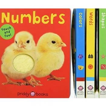 Roger Priddy Bright Baby Touch & Feel Slipcase Set: Words, Colors, Numbers, and Shapes