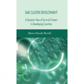 SME Cluster Development: A Dynamic View of Survival Clusters in Developing Countries