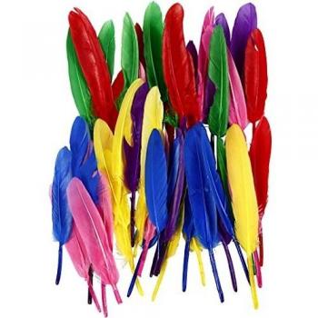 Plumas de 13 cm, Colores Variados, Paquete de 48 Unidades