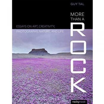 More Than a Rock: Essays on Art, Landscape, and Photography