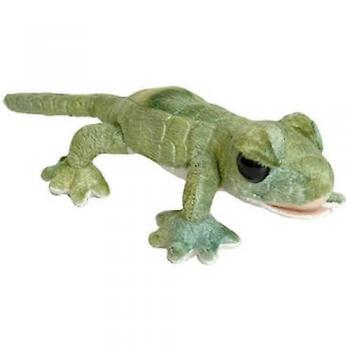 Gecko de Peluche CA Australia 25cm - Perfecto para Niños, Amantes de los Animales, Regalo Verde