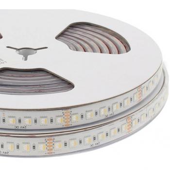 LEDBOX Tira LED SMD5050 RGB+W DC24V 5m (96Led/m 4 en 1) 115W IP67 3oz RGB + Blanco frío