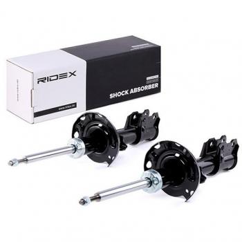RIDEX 854S1613 Amortiguador, Set de 2