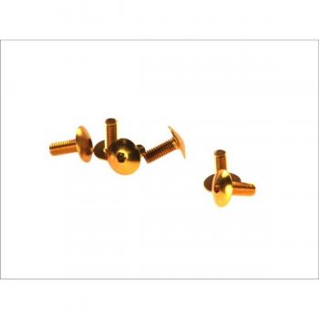 Kit de 6 tornillos allen con cabeza alomada M6x15 mm en color oro, modelo JY-HWSA-M6X15MM-Oro, código de barras 8430525042896 y tornillo hexagonal plano