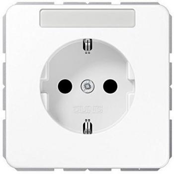 Toma Schuko 16A 250V con Protección Infantil y Campo de Escritura, Alpinblanco, Serie CD