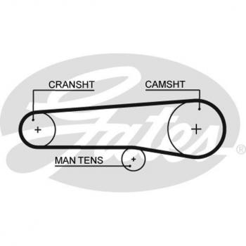 Correa dentada GATES Timing Belt 5116, tipo: correa de distribución, características: longitud de 5116 mm, ancho de 25 mm, número de dientes: 114, material: caucho reforzado con fibra sint