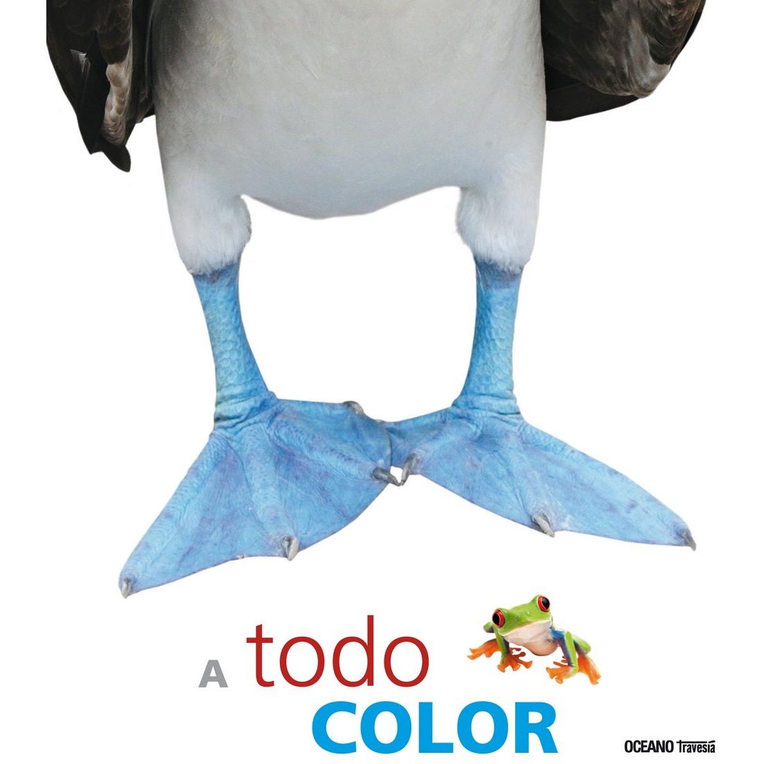 Imagen Principal