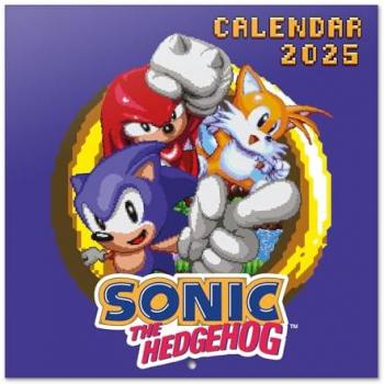 Calendario 2025 pared Sonic 30x30 cm con espacio para anotar e ilustraciones