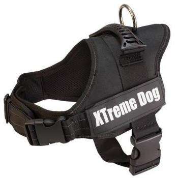 Arnés de Paseo y Seguridad Xtreme Dog Negro para Perros