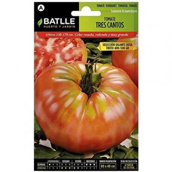Tomate 3 cantos ROSA