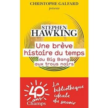 Une brève histoire du temps: Du big bang aux trous noirs
