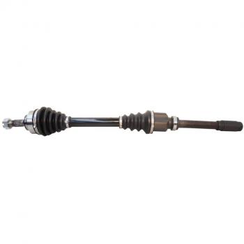 SKF VKJC 4481 Kit de transmisión