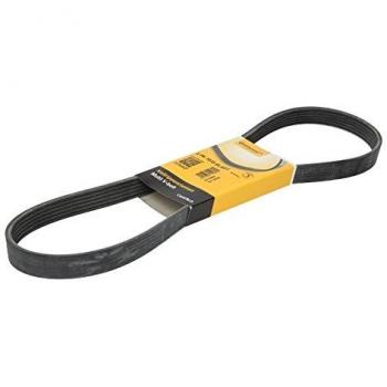 Contitech 6PK1033ELAST Loose Multi-V Belt