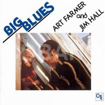 Large Vinyl Blue Record