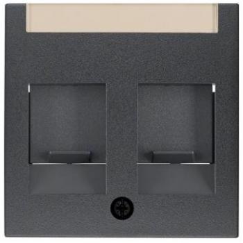 Modular Jack Double Central Cover Plate RJ11/RJ45 Anthracite Matte 11811606