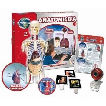 Cefa 21708 - Anatomia