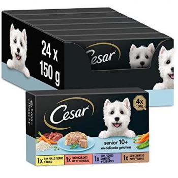 Cesar Senior 10+ Pienso Húmedo para Perros en Gelatina, Multipack Selección de Carnes Mixtas (6 x 4 Tarrinas de 150g)