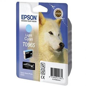 Epson T0965 - Cartucho de tinta válido para EPSON Stylus Photo R2880