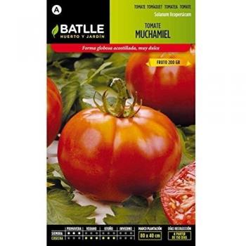 Semillas Hortícolas - Tomate Muchamiel - Batlle