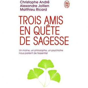 Trois amis en quete de sagesse
